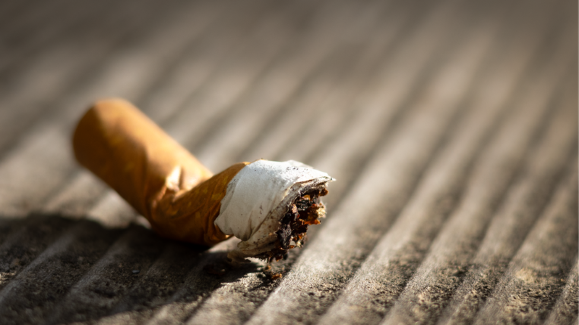 Mozzicone di sigaretta spento sull'asfalto, il fumo tra i fattori di rischio cardiovascolare